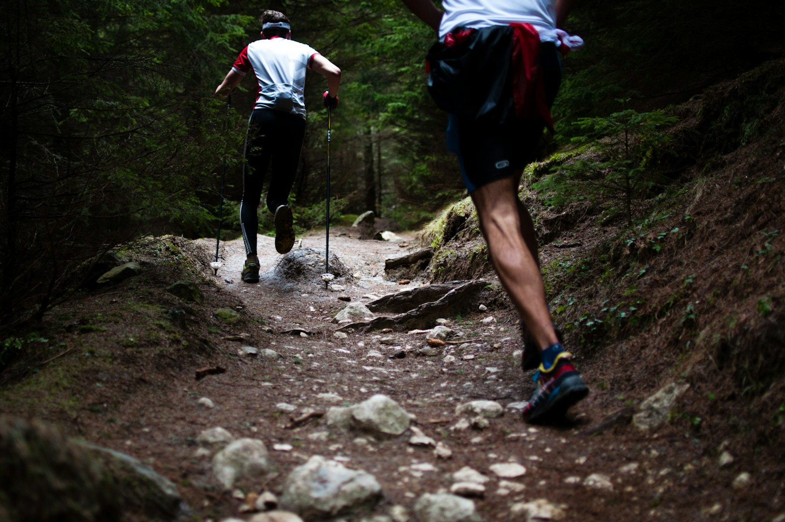 Comment choisir LA paire de chaussures de trail qui vous fera vibrer sur les sentiers
